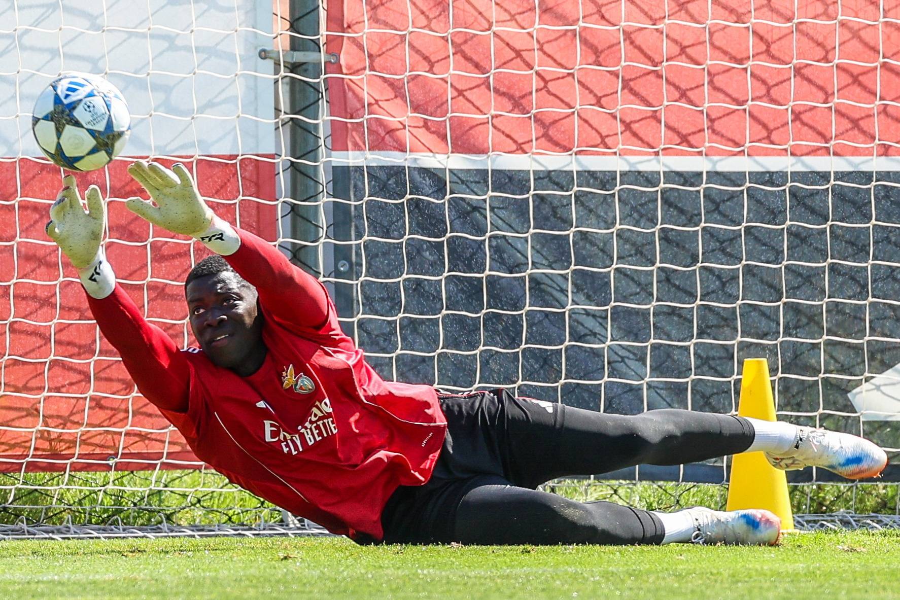 （外代二线）足球——欧冠联赛：本菲卡赛前备战