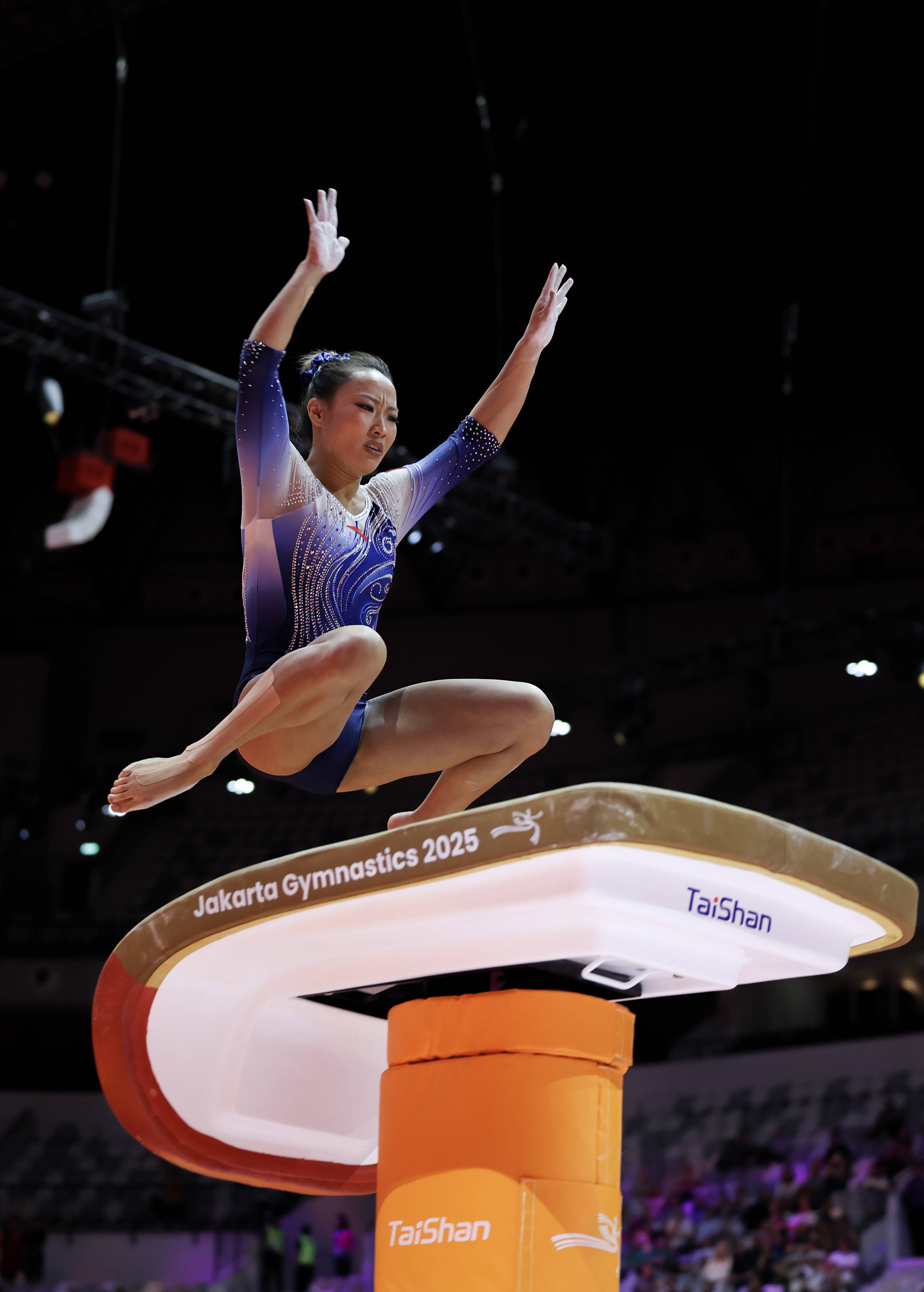 (体育)体操——世锦赛:女子跳马决赛赛况